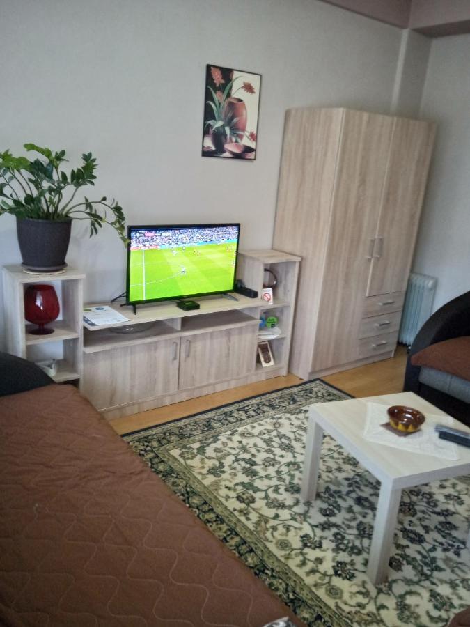 Apartman Nikolic Bor Exterior foto