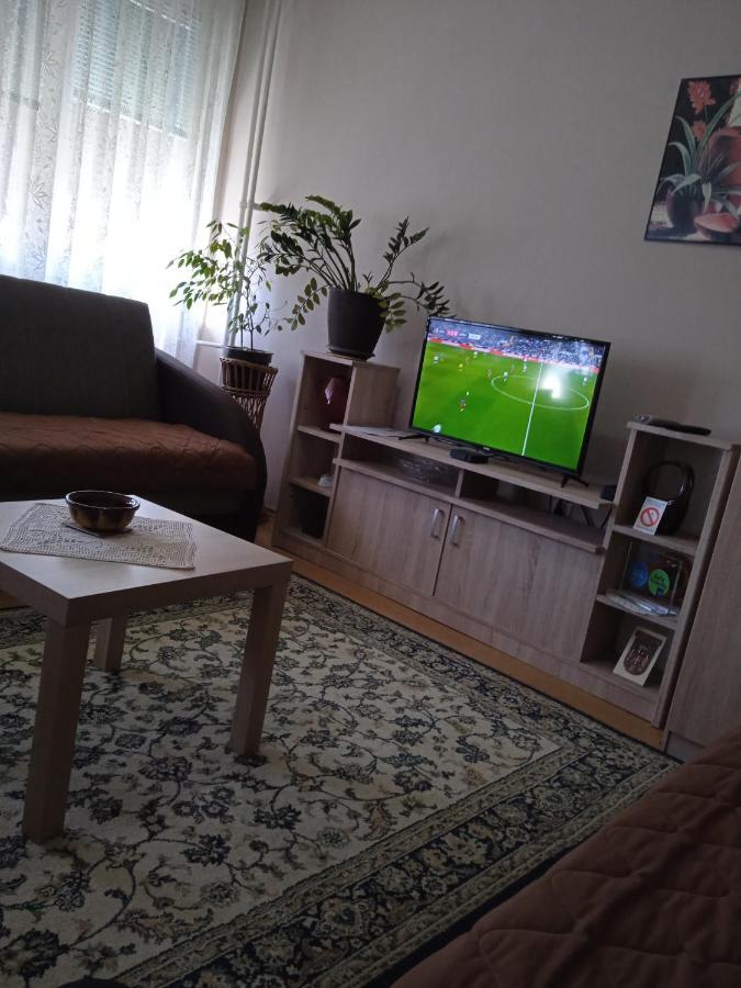 Apartman Nikolic Bor Exterior foto